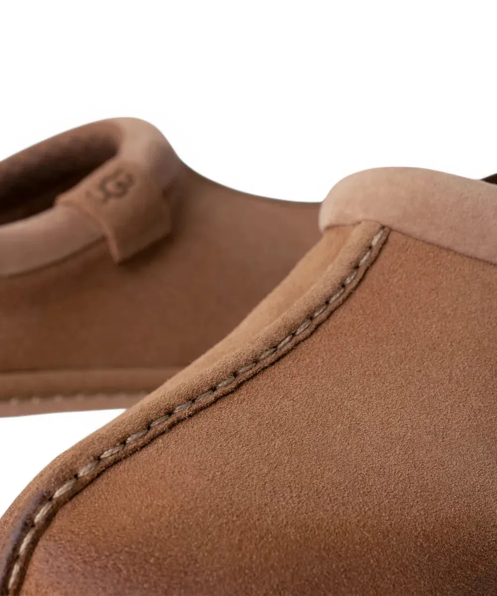 Scarpe UGG Tasman Lug Uomo