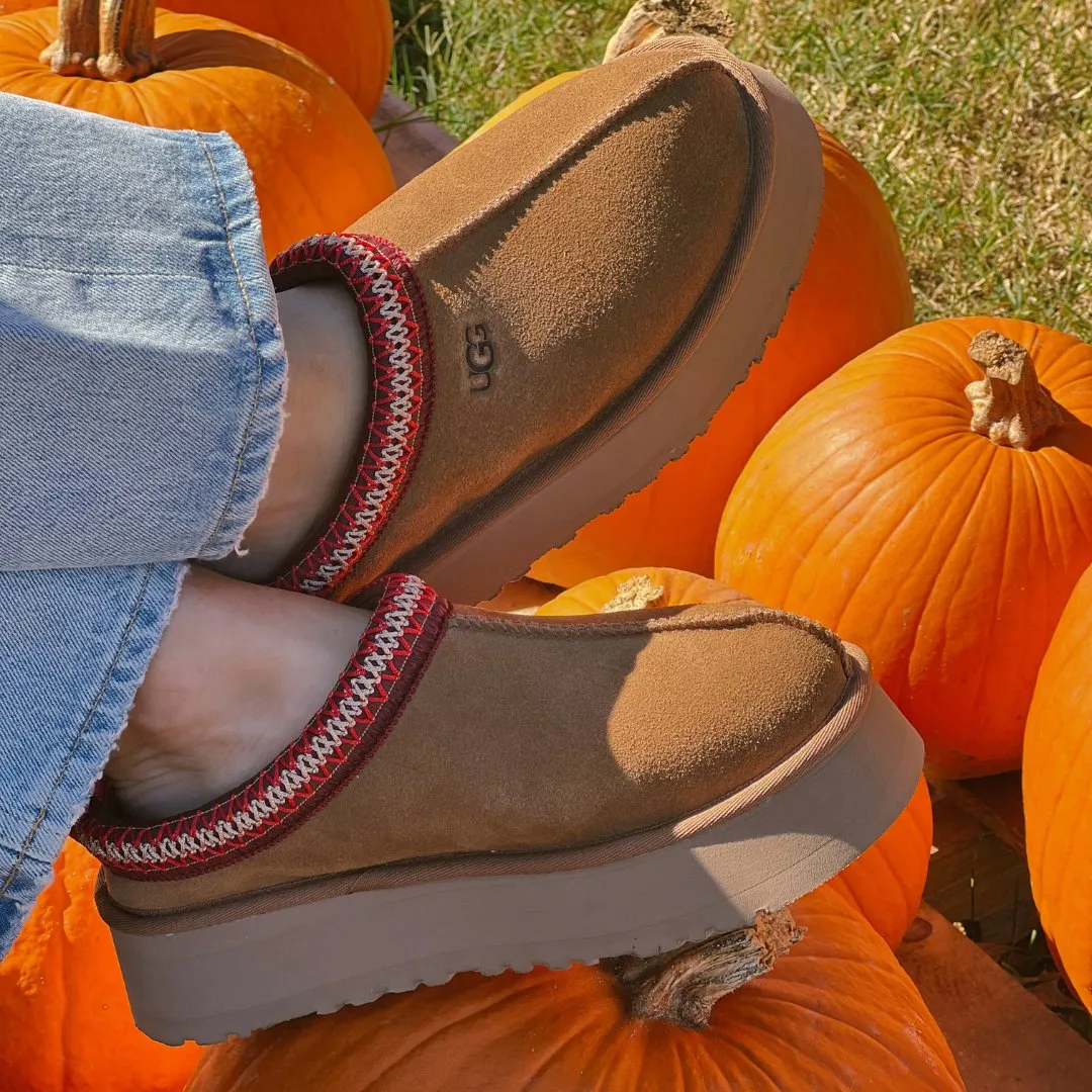 UGG: Tazz in Chestnut